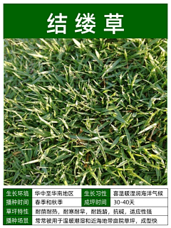 ++N采集到绿化（单体）