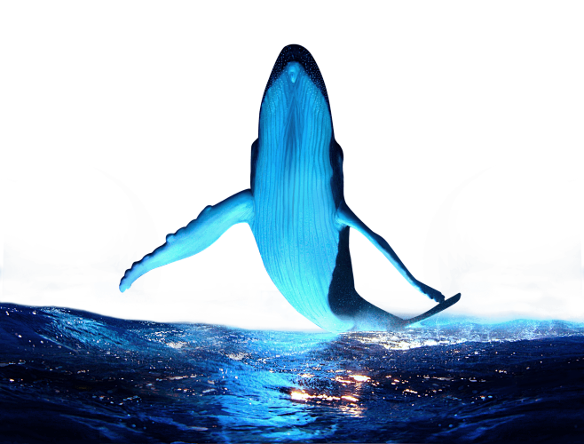 gear-vr_experience_w...