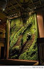 Vertical garden