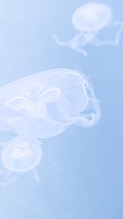 【高清手机壁纸。风景美图。城市风光摄影。设计灵感。桌面锁屏。日系韩系欧美。小清新。】❤️