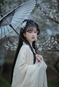 「遥知不是雪，为有暗香来」_人像_颇可网,汉服,古风,汉服写真,梅花