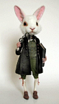 Rabbit gentleman