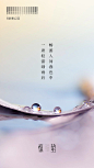 惊蛰节气地产单图