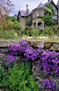 博德南特，北威尔士。玫瑰露台风铃， 花园