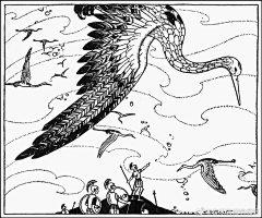 守秘人采集到Virginia Frances Sterrett