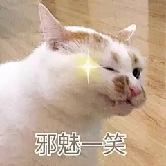 微信 QQ 搞笑 表情包 哈哈 (2456)