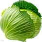 Cabbage PNG image