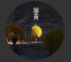 一口成胖子采集到Landscape - 色板