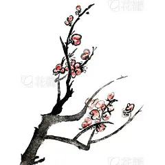 plum blossom