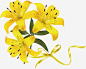 精美黄花免抠素材_新图网 https://ixintu.com 精美 蝴蝶结 黄色 黄花