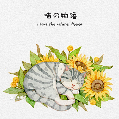 L-libraaa采集到临·用