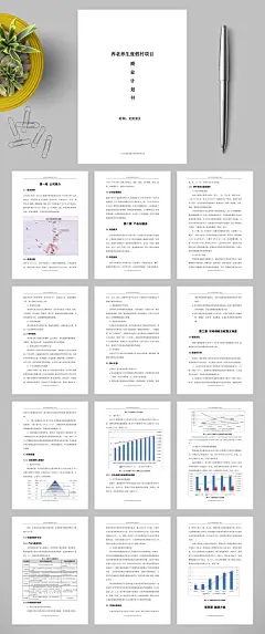 养老养生项目商业计划书WORD-众图网