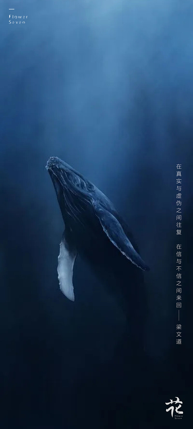 鲸落，于海底