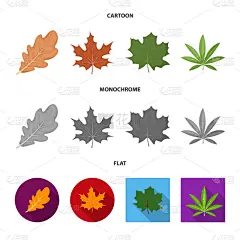 素食,有机食品,符号,九月,十月,清新,景观设计,环境,植物,标签