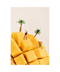 Kiwi Fruit projects | Behance 上的照片、视频、徽标、插图和品牌
