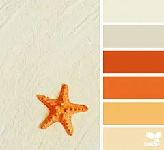 时尚配色设计方案图集丨服装产品网页室内平面海报logo图案配色