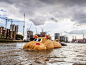 这是由荷兰匠人Hofman制作的，长达70英尺长的木质玩具河马，就这样游进了泰晤士河。#求是爱设计#