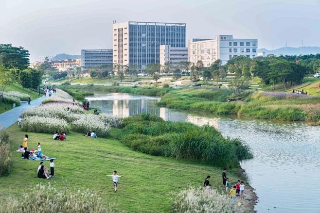 深圳茅洲河碧道·光明段生态修复试点