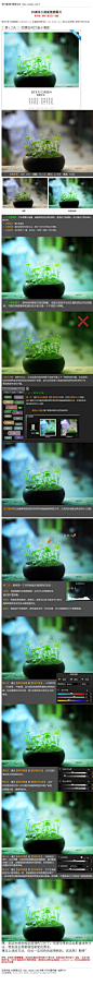 #风景调色#《photoshop调出小清新植物图片》 主题情绪：生命需要正能量，偏爱那独处轻柔的绿色，是美好又是清新，朵拉影像来分享这片美好随心创作吧。 教程网址：http://www.16xx8.com/photoshop/jiaocheng/2014/133383.html