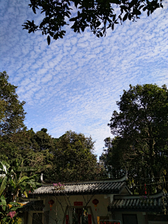 喂鱼喂采集到福州蓝·于山行