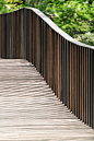 生态林地的波浪桥 bird wave bridge by shma-mooool设计