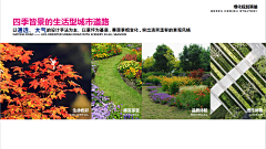 江明菊采集到植物设计
