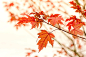 0600635464e5379d3871d6a4c868d6f2 (2000×1335)
