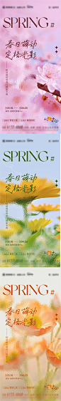【素材能量站】海报 地产 活动   春日 摄影  花朵 春天 系列|797254 