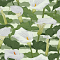 马蹄莲,四方连续纹样,叶子,背景,插画,相框,美,古董,艺术,纺织品