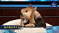 这只名叫犬山柴男的柴犬成为了SBK社的新闻主播(9P)
