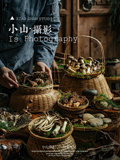 Mickey_pp采集到蘑菇菌子