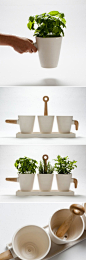 Cristina Toledo设计的“kitchen herb pot”，功能是厨房专用的植栽盆，可以用来种些香菜、葱等等。