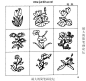 花朵简笔画的搜索结果_百度图片搜索