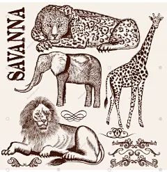 手绘插画动物斑马大象狮子鸟老虎老鹰画册头像AI矢量设计素材合集-淘宝网