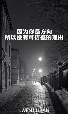 洛丽玛丝玫瑰采集到文字的感染