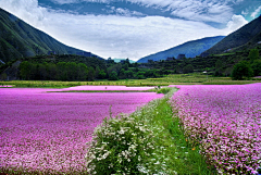 走马过汴梁采集到山水中国