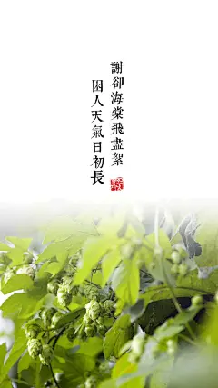 开到荼蘼花事了，尘缘尽，知多少…