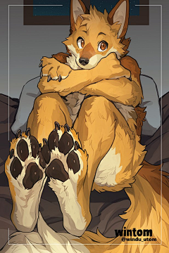 2330666采集到furry