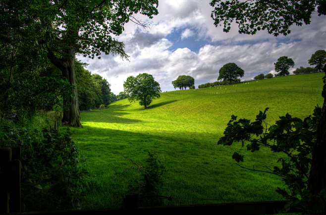 landscape-spring-woo...