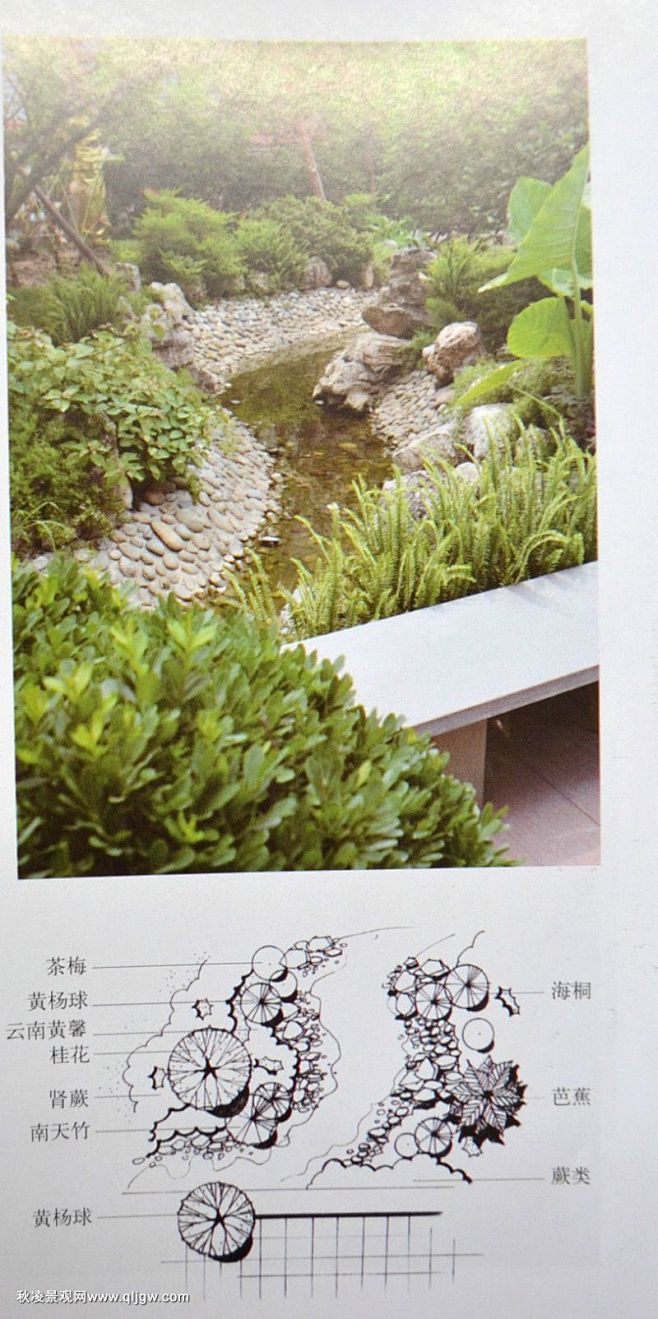植物配置----平面图与实景的对照 带下...