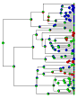 Phylogenetic Tools for Comparative Biology