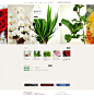 绿色“通道”！日本green-road花卉鲜花花艺植物类网站。酷站截图欣赏-编号：98607