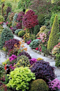 英国私家花园Four Seasons Garden， 花园的主人是牛顿夫妇，数十年如一日精心打理，好想要这样一个后花园！