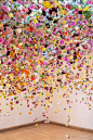 Rebecca Louise Law