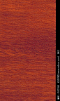 红松木形纹络木纹树木材质贴图高清质感木板照片图片