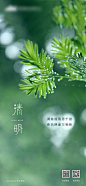 清明节海报