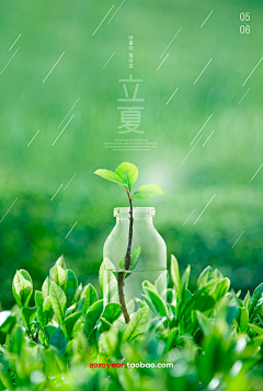 琳子_96采集到节气/节假日~海报