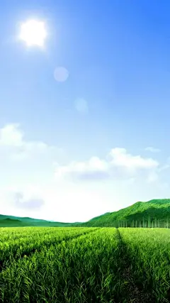 天气应用背景手机壁纸