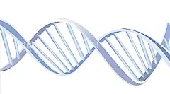 生物基因  - 源文件下载【酷图网】生物基因,生物基因素材,基因,医疗生物,医疗素材,化学素材,物理素材,化学,物理,生物,理科,基因素材,细胞,生物科技,双螺旋结构,基因检测,基因海报,生物基因海报,遗传基因,DNA,基因链,医疗海报,医院素材,科研,生物研究,基因图,免扣,基因免扣图,基因免扣素材,