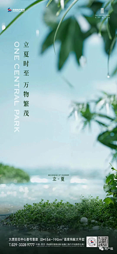花花草草儿采集到立夏